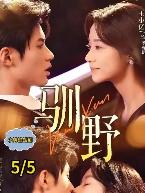 海平面的风治愈日剧全集在线看